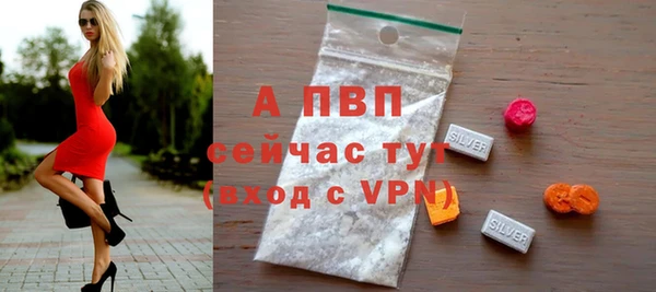 ECSTASY Богданович