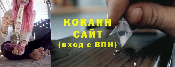 ECSTASY Богданович
