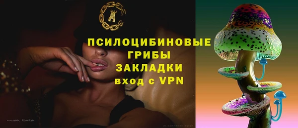 MDMA Богородицк