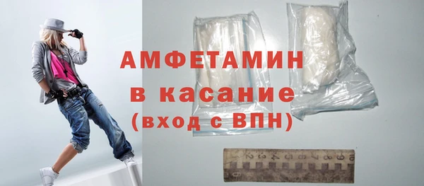 гидра Богородск