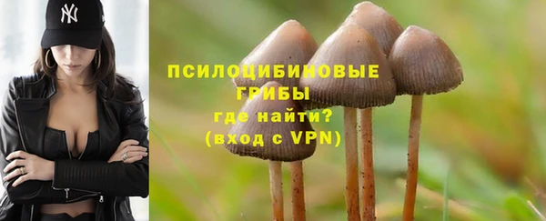 гидра Богородск
