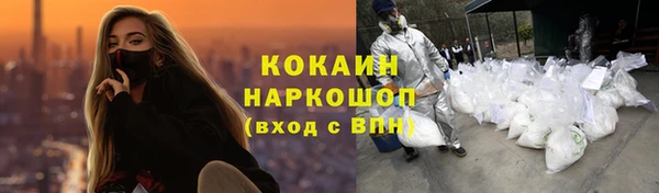 гидра Богородск