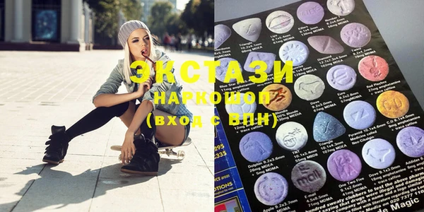 ECSTASY Богданович