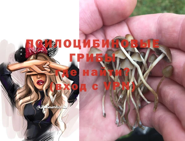 ECSTASY Богданович