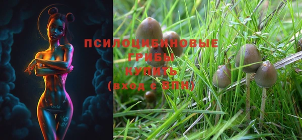 MDMA Богородицк