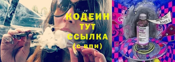 ECSTASY Богданович