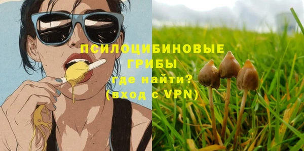 MDMA Богородицк