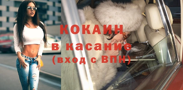 гидра Богородск