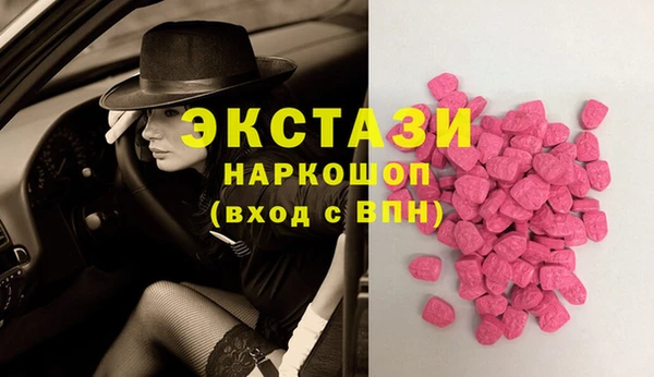 ECSTASY Богданович