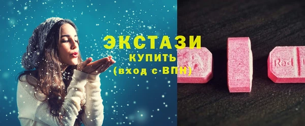 гидра Богородск
