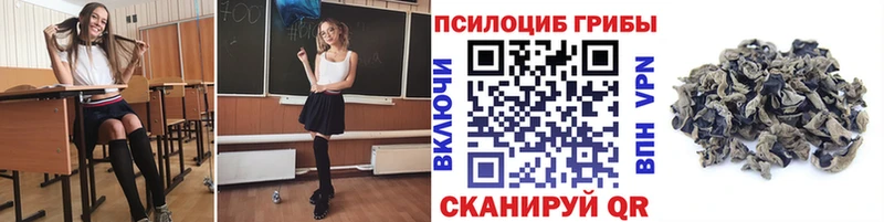 Купить где  Магас  Галлюциногенные грибы мухоморы 